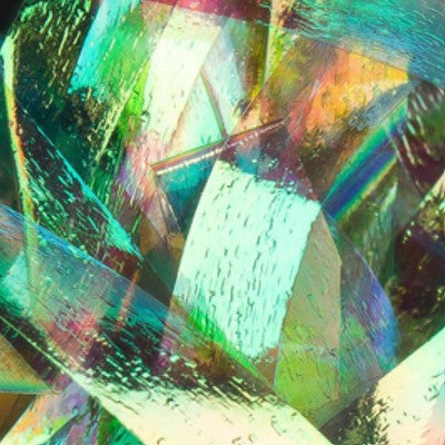 Hends Shellback - Sportinglife Turangi